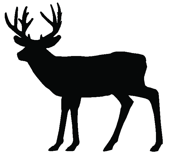 deer-edit