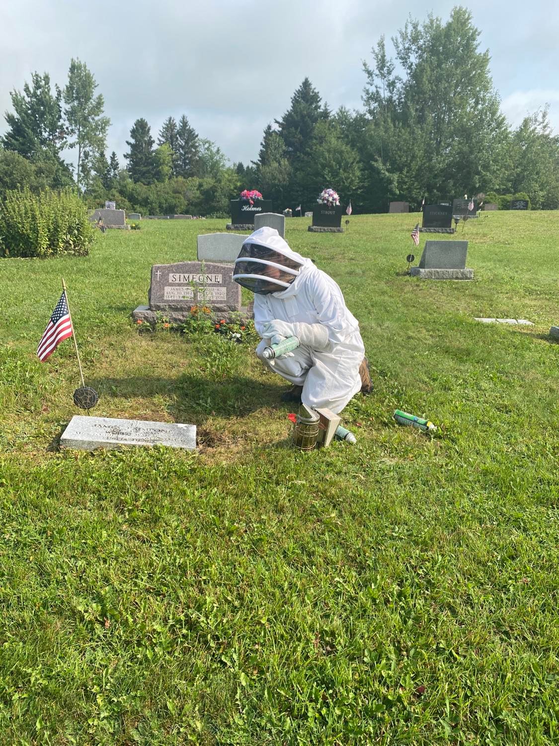 Removing hornets nest