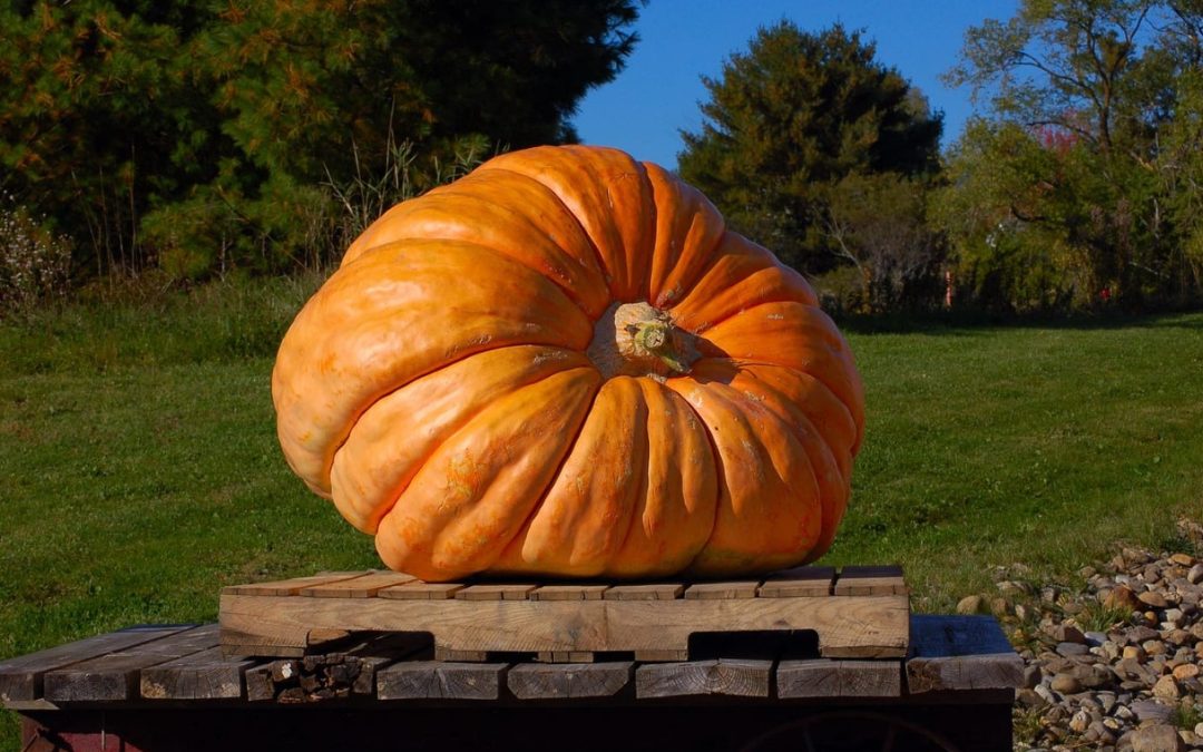 Aroostook County Folklore: “And It Was This Big”