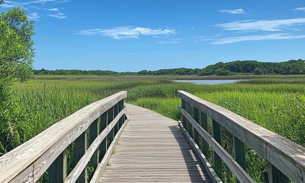 Windham Wildlife Preserve Expands Maine Footprint