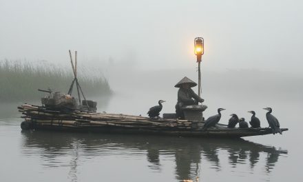 Fuzhou Seafood: Connecting Tradition, Community, and Culture.