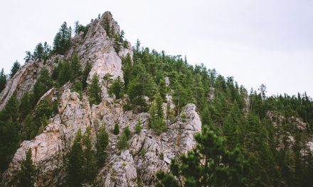 Take A Hike–Literally!