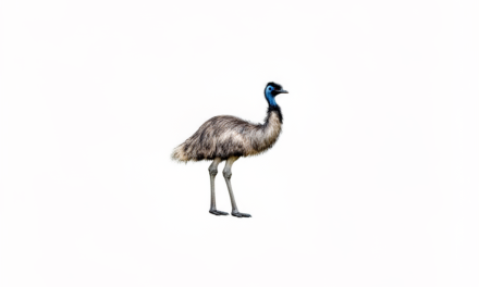 History tidbits: the emu war