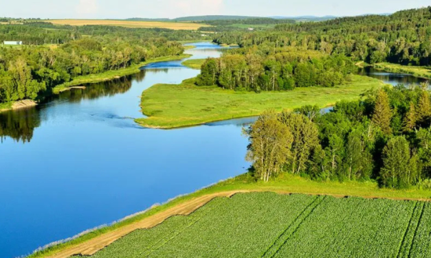 Behind the Scenes: Paul Johnson Jr