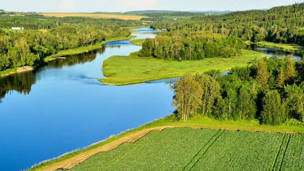 Behind the Scenes: Paul Johnson Jr